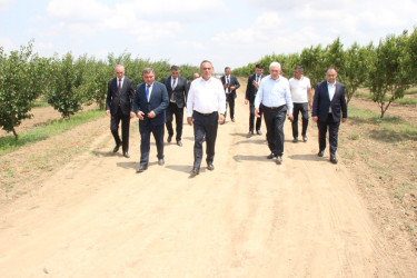 Goranboyda aqrar sahənin inkişafı istiqamətində görülən işlərlə tanışlıq davam edir