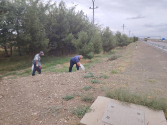 Goranboyda yol kənarında ağaclar suvarıldı, məişət tullantıları təmizləndi