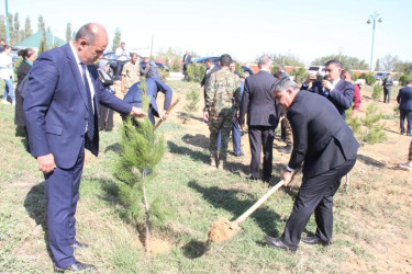 Goranboyda,  “27 sentyabr - Anım Günü” ilə bağlı, ağac əkini aksiyası   keçirildi.