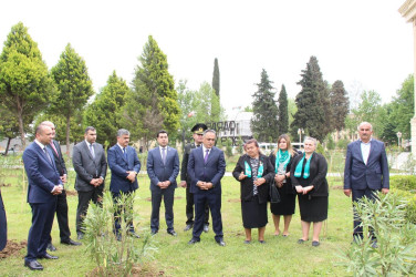 Goranboyda Ümummilli Liderimiz Heydər Əliyevin anadan olmasının 101-ci ildönümü ilə bağlı, 101 ədəd ağac əkildi.