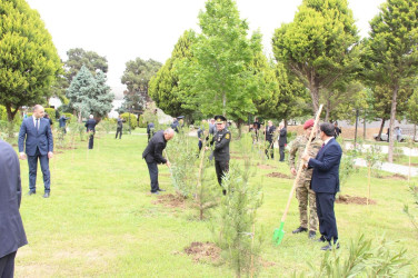 Goranboyda Ümummilli Liderimiz Heydər Əliyevin anadan olmasının 101-ci ildönümü ilə bağlı, 101 ədəd ağac əkildi.