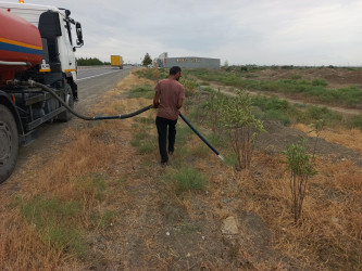Goranboyda yol kənarında ağaclar suvarıldı, məişət tullantıları təmizləndi