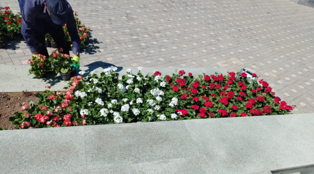 Goranboyda genişmiqyaslı abadlıq və yenidənqurma işləri davam etdirilir