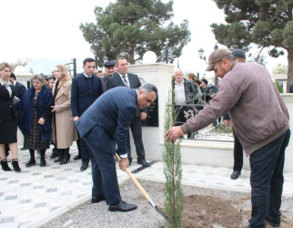 Goranboyda “08 noyabr –Zəfər Günü” ilə bağlı növbəti ağacəkmə aksiyası keçirildi