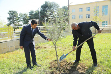 Goranboyda  “2023-cü il-Heydər Əliyev ili” ilə bağlı, keçirilən tədbirlər çərçivəsində növbəti ağacəkmə aksiyası keçirildi.