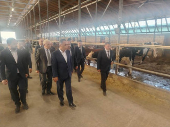 Goranboyda “2026–2030-cu illər üçün Dövlət Proqramı”-nın icrası uğurlu davam edir