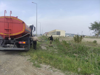Goranboyda növbəti iməcilik keçirildi,  yolətrafı ərazilərdə abadlıq, təmizlik işləri aparıldı, yeni salınmış yaşıllıq zolaqlarına aqrotexniki qulluq göstərildi