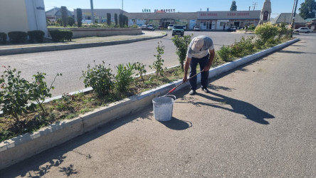 Goranboyda genişmiqyaslı abadlıq və yenidənqurma işləri davam etdirilir