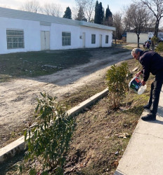 Goranboyda yeni salınmış yaşıllıq zolaqlarına aqrotexniki qulluq işləri davam etdirilir