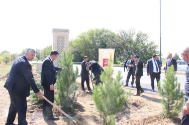 Goranboyda  “27 sentyabr –Anım Günü” ilə bağlı ağacəkmə aksiyası keçirildi