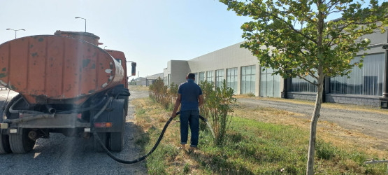 Goranboyda yeni salınmış yaşıllıq zolaqlarına aqrotexniki qulluq işləri davam etdirilir