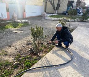 Goranboyda yeni salınmış yaşıllıq zolaqlarına aqrotexniki qulluq işləri davam etdirilir