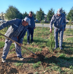 Goranboyda, Yaşıl dünya naminə həmrəylik ili və 8 noyabr Zəfər günü ilə bağlı,  “Təbiəti də sağaldaq” devizi altında ağacəkmə aksiyası keçirildi