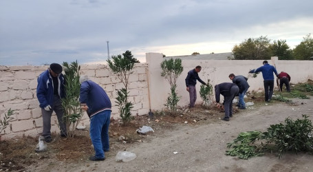 "Yaşıl dünya naminə həmrəylik ili" çərçivəsində  Qızılhacılı qəsəbəsində həyata keçirilən ağacəkmə aksiyasında qəsəbə sakinləri fəal iştirak etdilər.