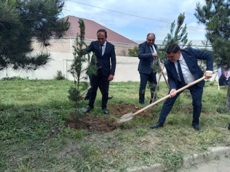 Goranboyda “Şəhərsalma və Memarlıq İli” çərçivəsində Ümummilli Lider Heydər Əliyevin anadan olmasının 103-cü ildönümü ilə bağlı ağacəkmə aksiyası keçirildi