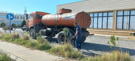 Goranboyda yeni salınmış yaşıllıq zolaqlarına aqrotexniki qulluq işləri davam etdirilir
