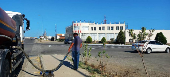 Goranboyda yeni salınmış yaşıllıq zolaqlarına aqrotexniki qulluq işləri davam etdirilir. Bu məqsədlə, ağacların növbəti suvarılması işləri görülür.