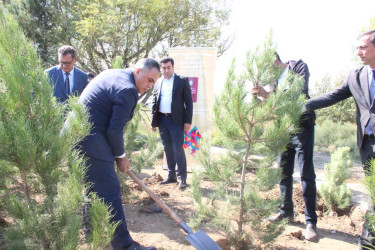Goranboyda  “27 sentyabr –Anım Günü” ilə bağlı ağacəkmə aksiyası keçirildi