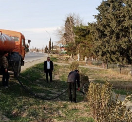 Goranboyda yeni salınmış yaşıllıq zolaqlarına aqrotexniki qulluq işləri davam etdirilir