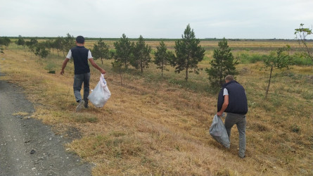 Goranboyda yol kənarında ağaclar suvarıldı, məişət tullantıları təmizləndi