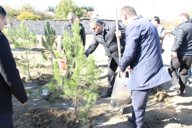 Goranboyda,  “8 noyabr Zəfər Günü” və  “Yaşıl dünya naminə həmrəylik ili“  ilə bağlı,  ağacəkmə aksiyası təşkil olundu