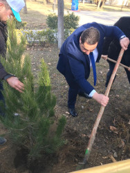 Goranboyda, “2023-cü il-Heydər Əliyev ili” ilə bağlı, ağacəkmə aksiyası keçirildi.