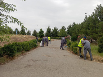 Goranboyda “Yaşıl dünya naminə həmrəy olaq” şüarı ilə təmizlik aksiyası keçirildi