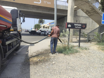 Goranboyda yolkənarı ərazilərin məişət tullantılarından təmizlənməsi işləri aparıldı, ağac və gül kolları suvarıldı