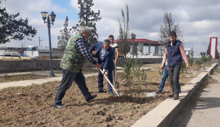 Goranboyda, "Yaşıl dünya naminə həmrəylik ili" çərçivəsində həyata keçirilən kütləvi ağacəkmə  aksiyasına  Borsunlu və Nadirkənd kəndlərinin sakinləri də fəal qoşuldular.