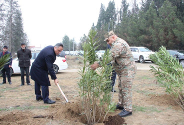 Goranboyda,  Ümummilli Liderimiz Heydər Əliyevin Anım Günü ilə bağlı,  ağacəkmə aksiyası keçirildi