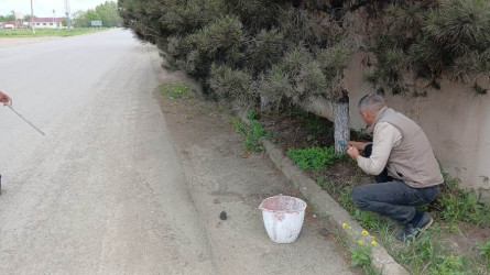 Goranboyda “Şəhərsalma və Memarlıq ili” və beynəlxalq veloyarışa hazırlıq çərçivəsində abadlıq işləri davam etdirilir