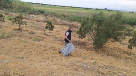 Goranboyda yol kənarında ağaclar suvarıldı, məişət tullantıları təmizləndi