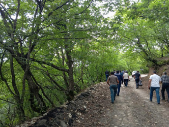 Goranboyda,  “Yaşıl dünya naminə həmrəylik ili”  çərçivəsində   iməcilik təşkil edildi .