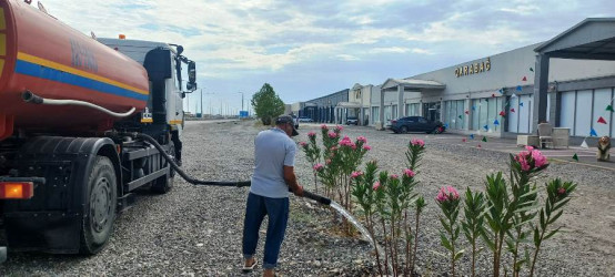 Goranboyda yeni salınmış yaşıllıq zolaqlarına aqrotexniki qulluğun göstərilməsi işləri davam etdirilir