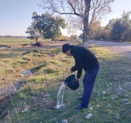 Goranboyda, "Yaşıl dünya naminə həmrəylik ili" ilə bağlı, yeni yaşıllıq zolaqlarının salınması, mövcud infrastrukturun genişləndirilməsi və aqrotexniki qulluğun göstərilməsi işləri davam etdirilir.