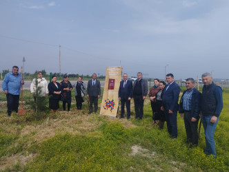 Goranboyda "Konstitusiya və Suverenlik ili" ilə bağlı,  ağacəkmə aksiya keçirildi