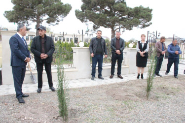 Goranboyda “08 noyabr –Zəfər Günü” ilə bağlı növbəti ağacəkmə aksiyası keçirildi