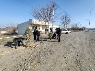 Goranboyda yeni salınmış yaşıllıq zolaqlarına aqrotexniki qulluq işləri davam etdirilir