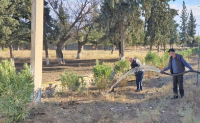 Yaşıl  dünya naminə, Goranboyumuzu  daha da yaşıllaşdıraq və qoruyaq !