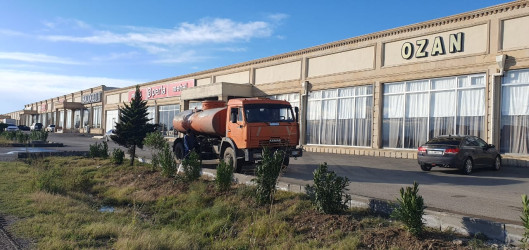 Goranboyda, "Yaşıl dünya naminə həmrəylik ili" çərçivəsində, yolkənarı ərazilərin abadlaşdırılması məqsədi ilə həyata keçirilən ağac əkini işləri davam etdirilir.