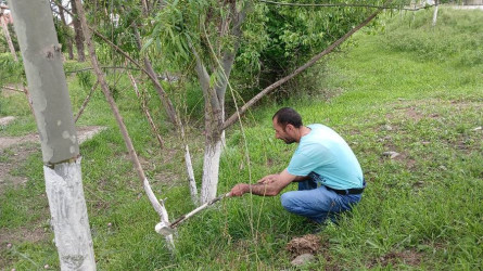 Goranboyda “Şəhərsalma və Memarlıq ili” və beynəlxalq veloyarışa hazırlıq çərçivəsində abadlıq işləri davam etdirilir