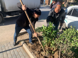 Goranboy  şəhərində,  "Yaşıl dünya naminə həmrəylik ili" çərçivəsində, növbəti ağacəkmə aksiyası həyata keçirildi.