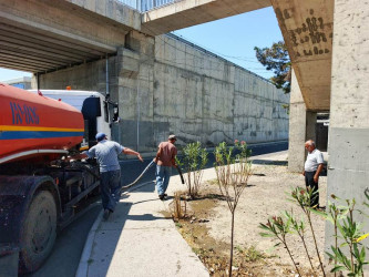 Goranboyda yeni salınmış yaşıllıq zolaqlarına aqrotexniki qulluq işləri davam etdirilir. Bu məqsədlə, ağacların növbəti suvarılması işləri görülür.