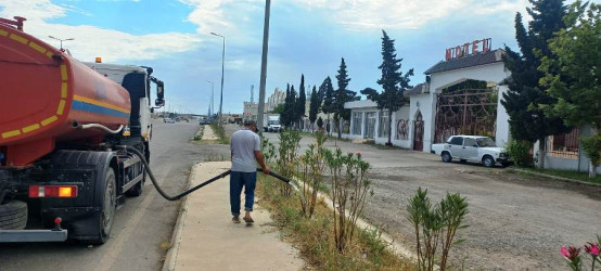 Goranboyda yeni salınmış yaşıllıq zolaqlarına aqrotexniki qulluğun göstərilməsi işləri davam etdirilir