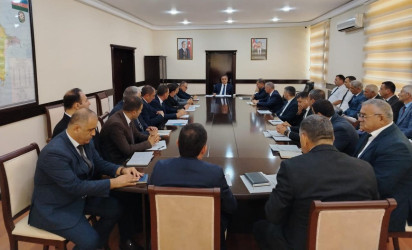 Goranboyda, əhalinin sosial problemlərinin öyrənilməsi və həlli məqsədilə inzibati ərazi dairələri üzrə nümayəndələri və yerli bələdiyyələrlə növbəti iclas keçirildi