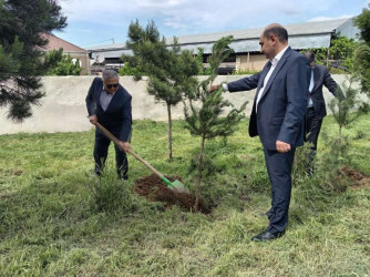 Goranboyda “Şəhərsalma və Memarlıq İli” çərçivəsində Ümummilli Lider Heydər Əliyevin anadan olmasının 103-cü ildönümü ilə bağlı ağacəkmə aksiyası keçirildi