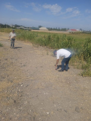 Goranboyda təmizlik həftəsi çərçivəsində rayonun bütün yaşayış məntəqələrində qəbiristanlıqlar və yol kənarları ərazilərdə təmizlik işləri aparıldı