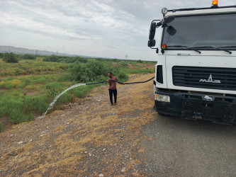 Goranboyda yol kənarında ağaclar suvarıldı, məişət tullantıları təmizləndi