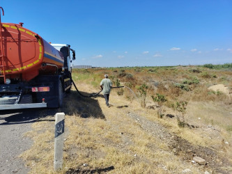 Goranboyda “Şəhərsalma və Memarlıq ili “ çərçivəsində yol kənarlarında əkilmiş ağaclara aqrotexniki qulluq göstərilir və suvarılma işləri aparılır