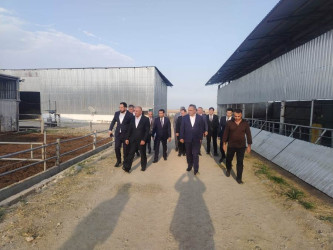 Goranboyda Dövlət Proqramının icrası ilə bağlı layihələr təhlil olunur